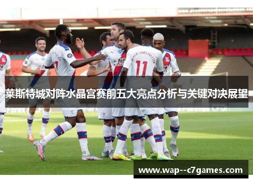莱斯特城对阵水晶宫赛前五大亮点分析与关键对决展望 莱斯特城对阵水晶宫赛前五大亮点分析与关键对决展望